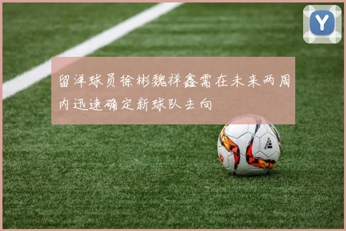 留洋球员徐彬魏祥鑫需在未来两周内迅速确定新球队去向
