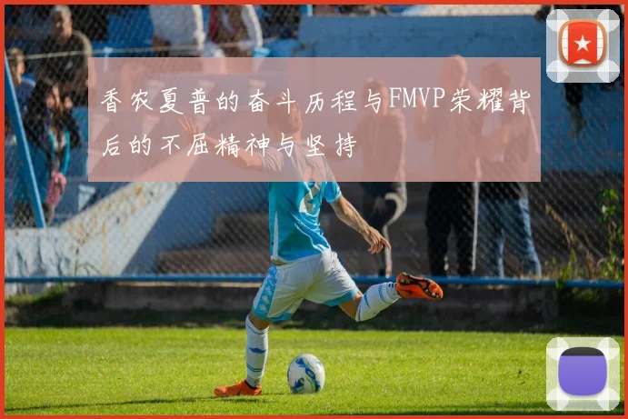 香农夏普的奋斗历程与FMVP荣耀背后的不屈精神与坚持